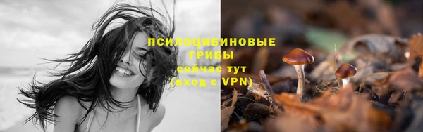 прущие крисы Нея