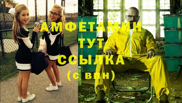 дмт Новозыбков