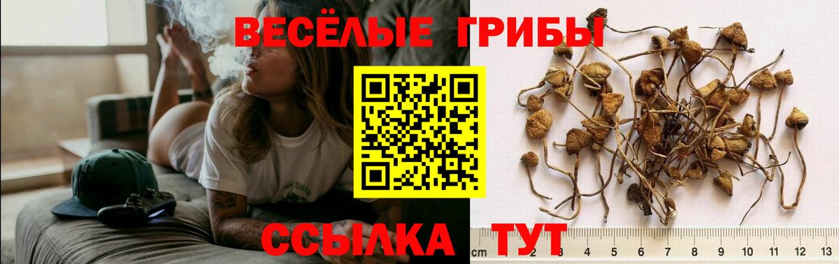 Уссурийск  Галлюциногенные грибы мицелий  Вход с VPN 